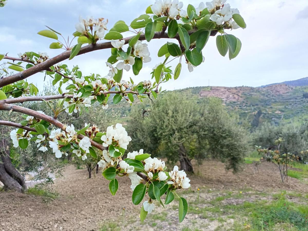 Agriturismo Le Campanelle - Sicilia - Cefalu Villa ลาสการี ภายนอก รูปภาพ